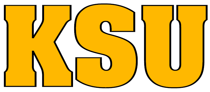 Kennesaw State Owls 0-2011 Wordmark Logo iron on transfers for clothing
